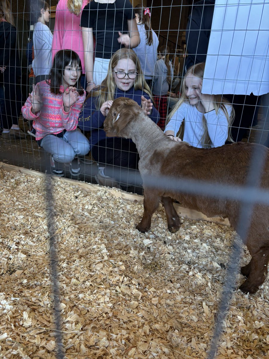 Renee Shoemaker tweet media