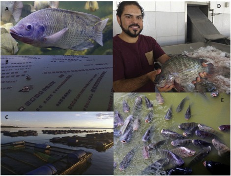 Bill Manci tweet media