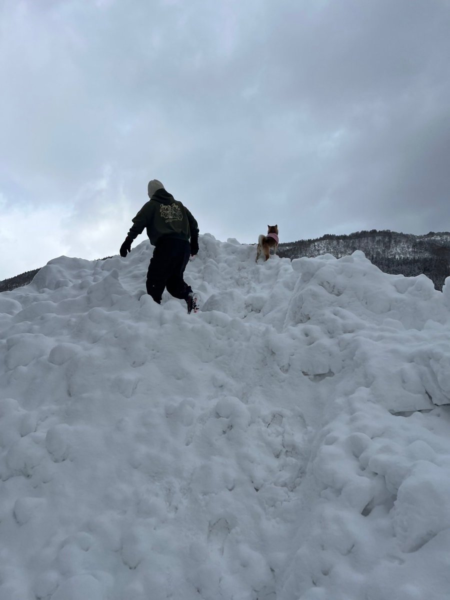 Kantaro San tweet media