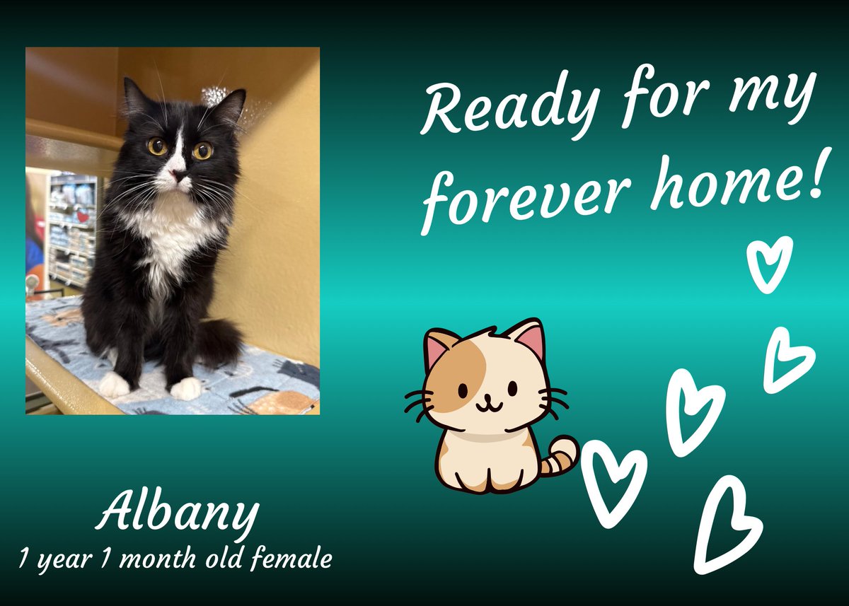 K-FROG Radio tweet media