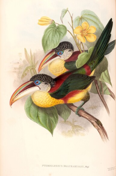 Colecciones de Ricardo Salinas Pliego tweet media