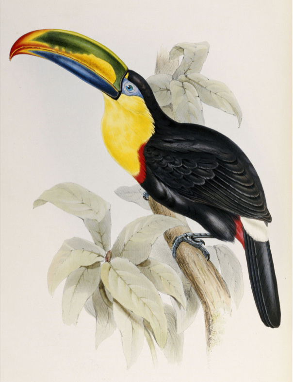 Colecciones de Ricardo Salinas Pliego tweet media