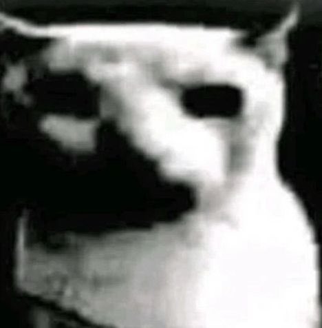 acabei de contar uma fofoca pra um fofoqueiro