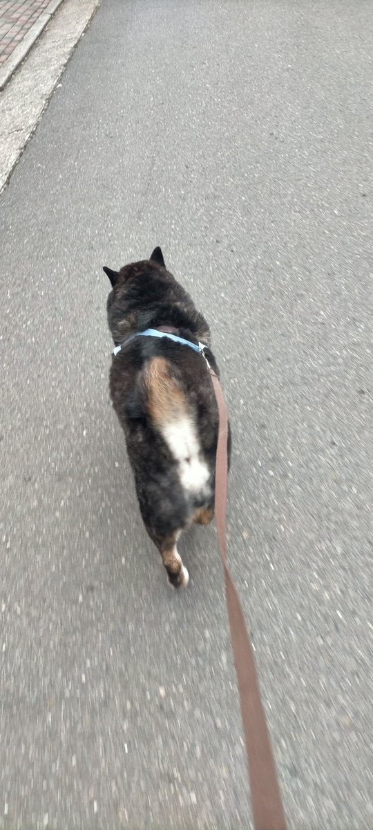 今日はナナちゃんちいってみよっと💨