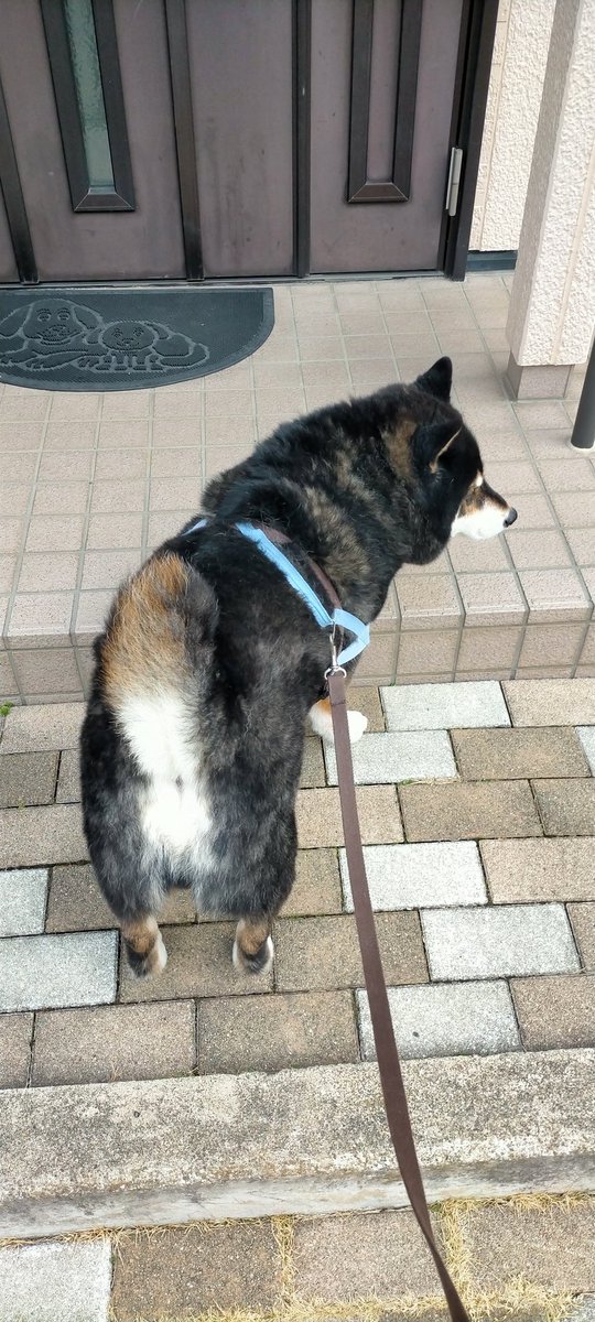 いないかぁ…まだちょっと寒いからかなぁ…