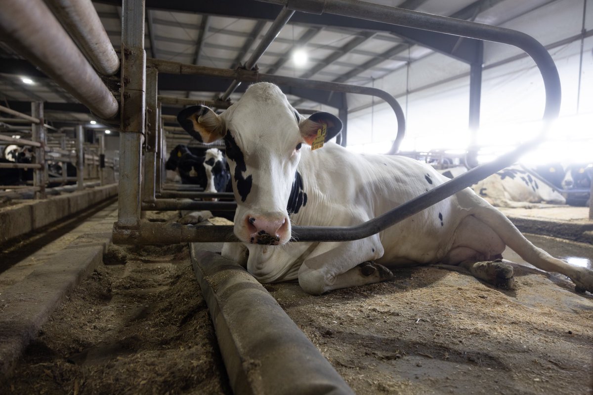 Bioret Agri tweet media