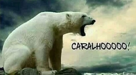 Este é Ivan, o urso pardo albino. Toda vez que ele é visto na floresta, é resgatado e acorda no pólo norte.

27/02 - Dia do Urso Polar