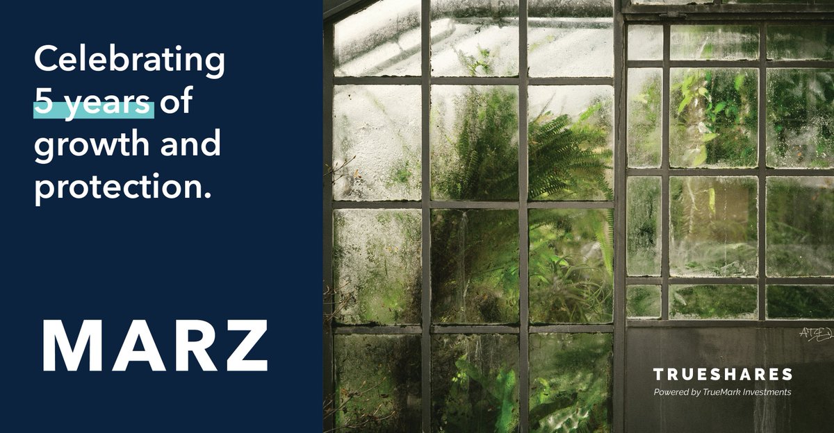 TrueShares ETFs tweet media