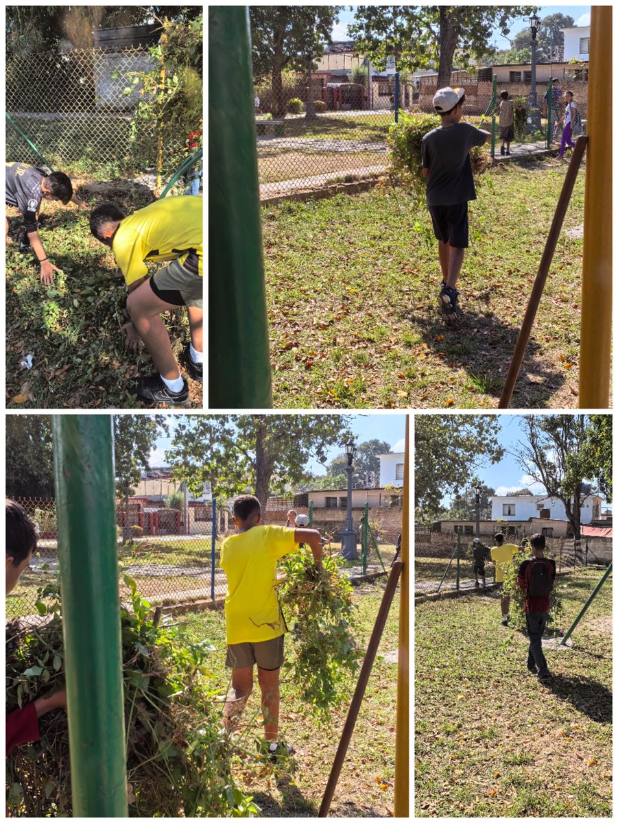 Anays Valdes tweet media