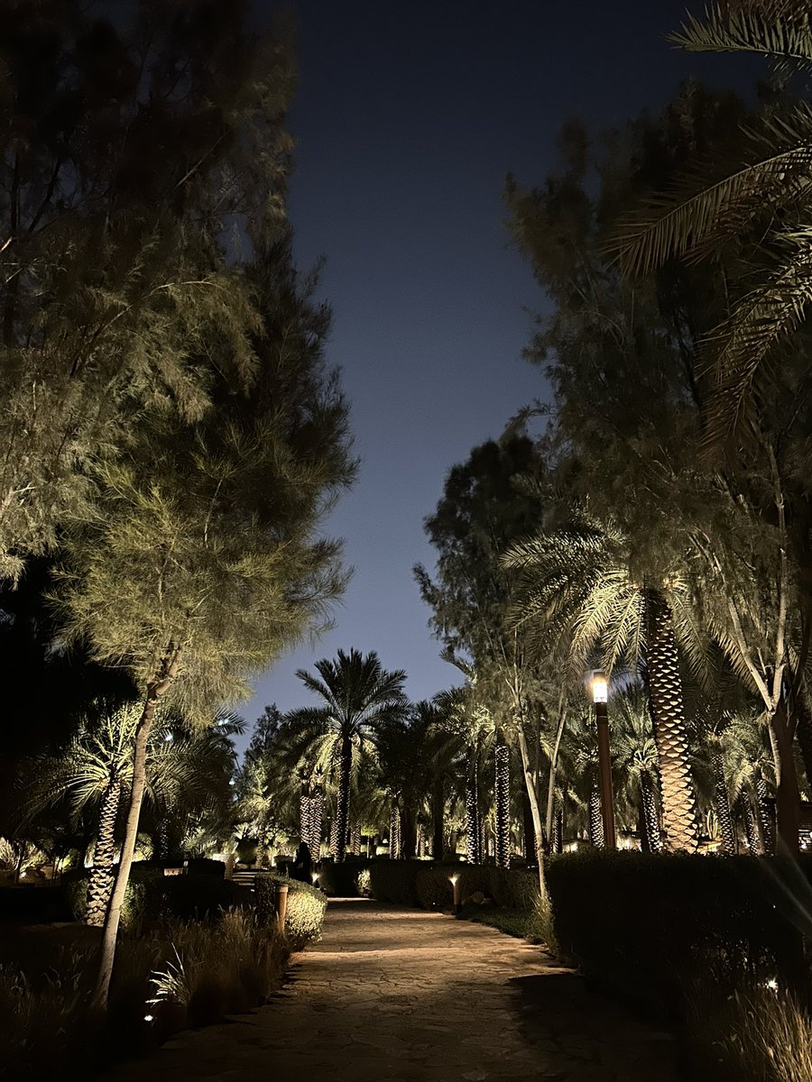 آلاء tweet media