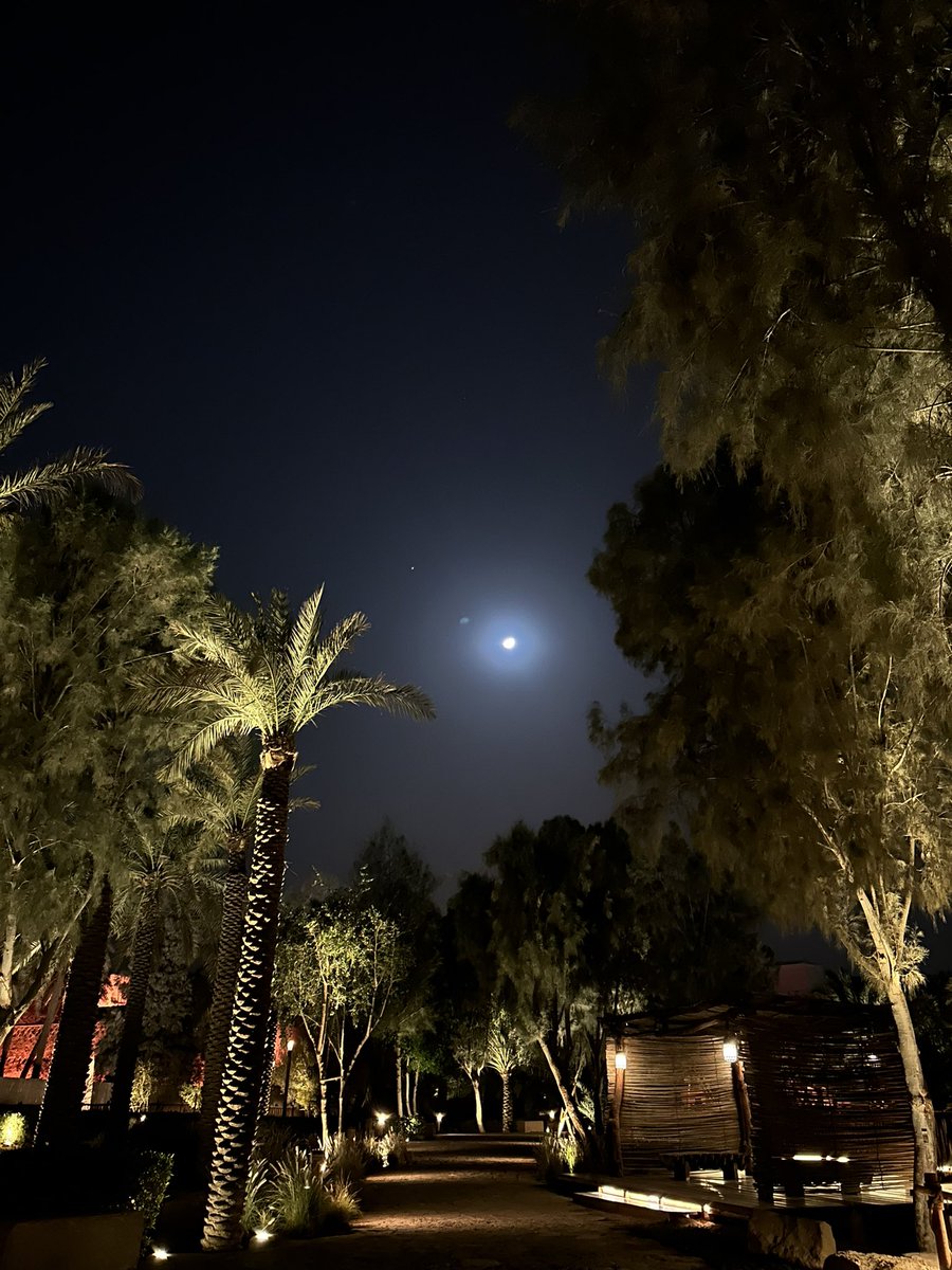 آلاء tweet media