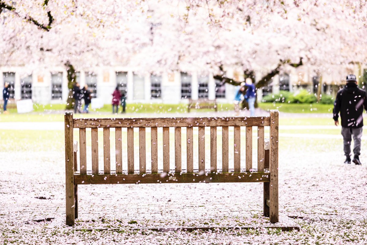 University of Washington tweet media