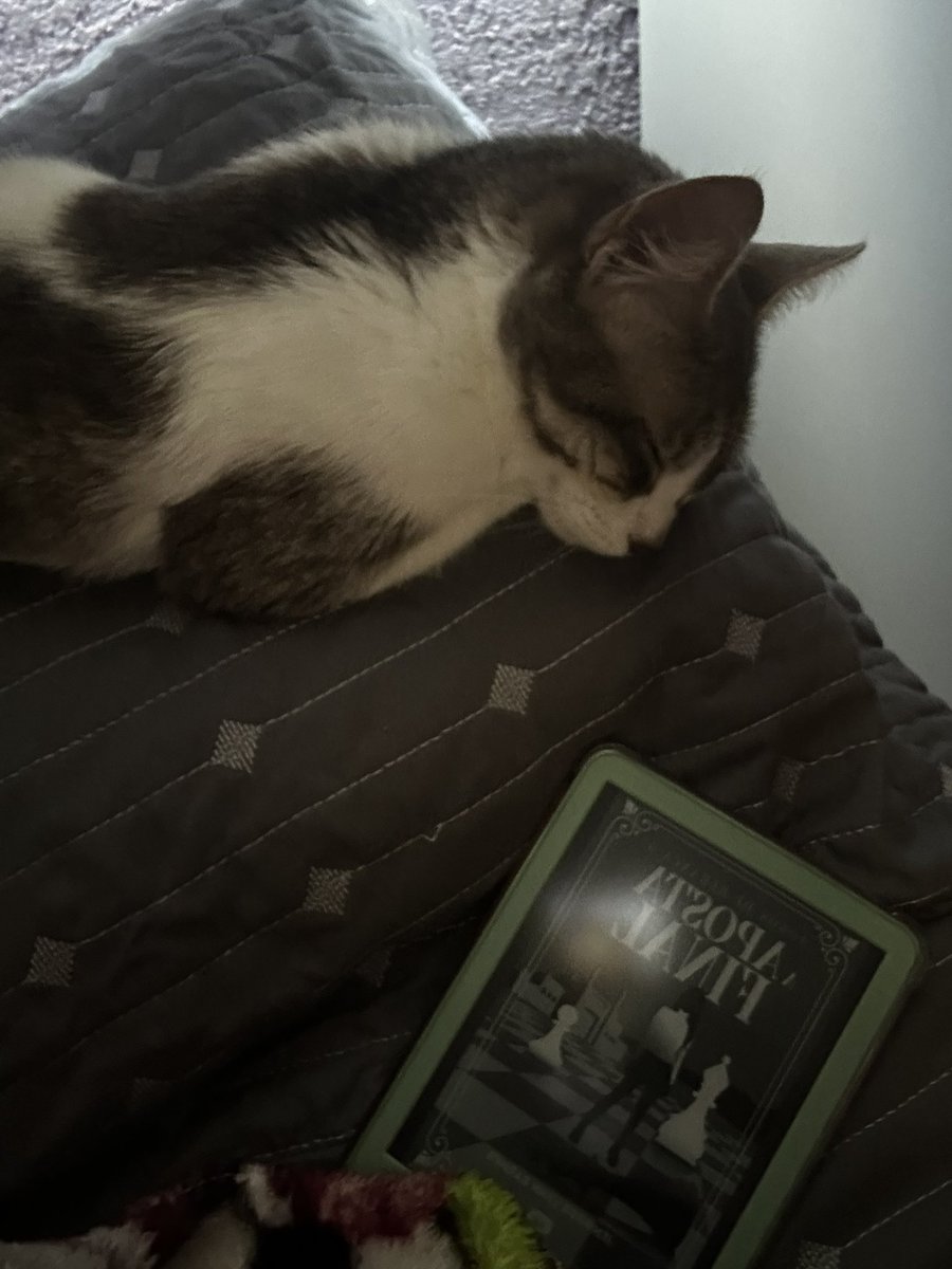 daechwitayve's tweet photo. Eu nunca vou superar ter te perdido minha companheira de cochilos, hoje uma pequena parte egoísta não queria te deixar ir https://t.co/IifbO1Iatu