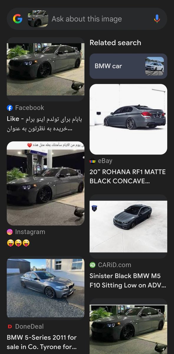 ایستاده در غبار tweet media