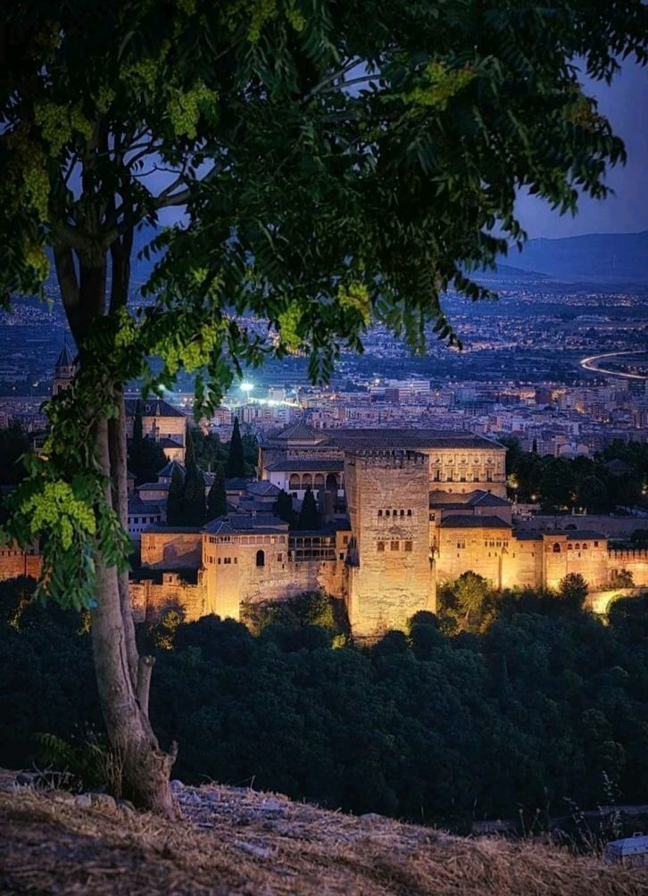 طــالــوم الــذهبــي tweet media