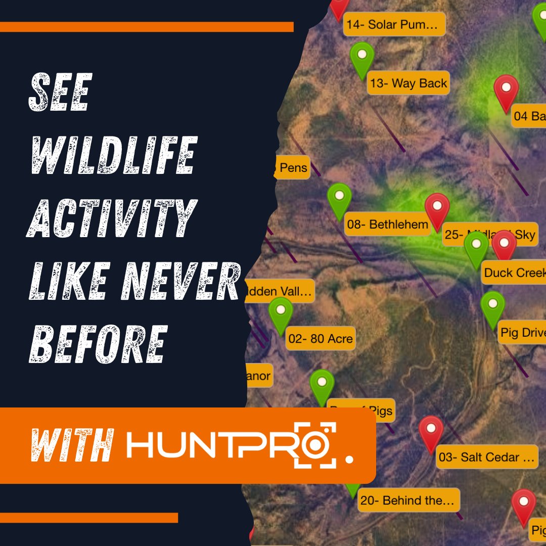 HuntProAI tweet media