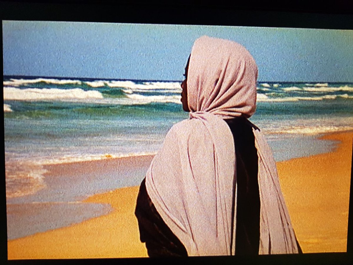 anya ⇄ sera tweet media