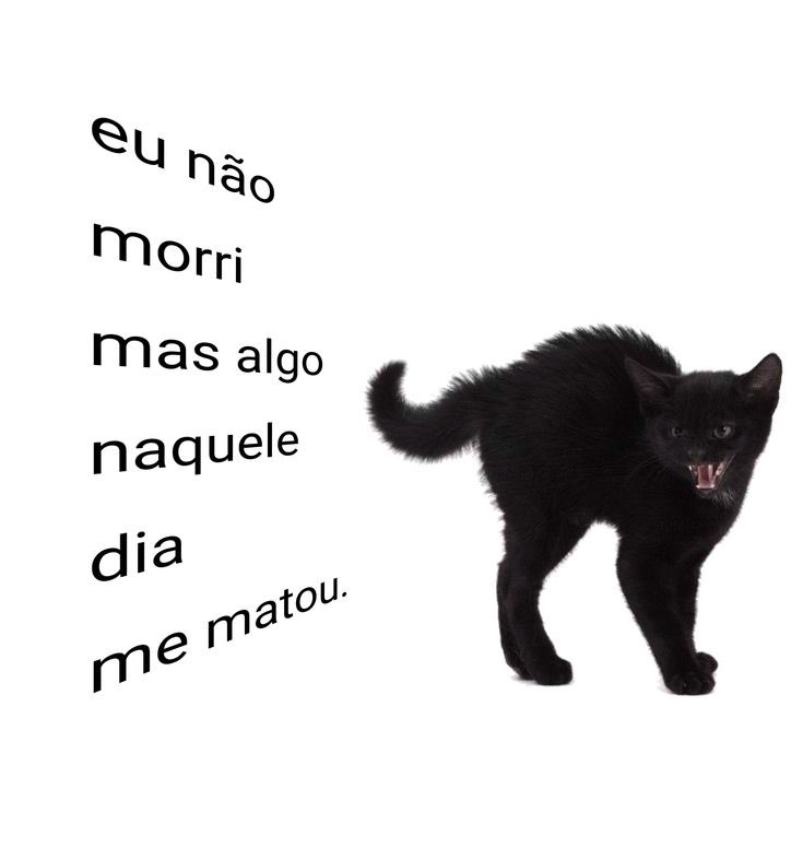 willwill 🚨🚨🚨 tweet media