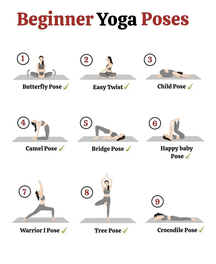 HealthyBody tweet media