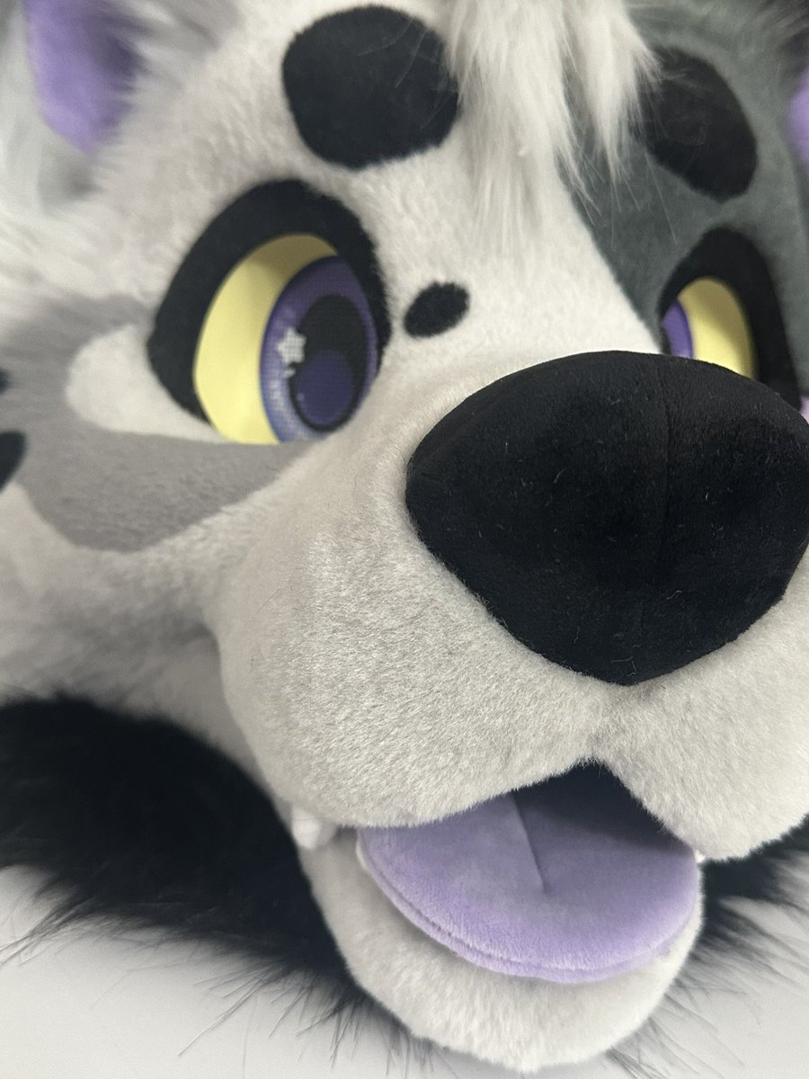 Battitude🦇🪡 tweet media