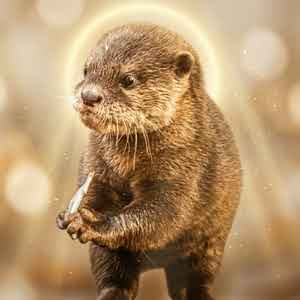 $BAO    32k MC  

BDmM7FJfMAHmULeNeMgHWvPcmmhv8Ywsn9XbM3Mcpump

babybaoonsol.com