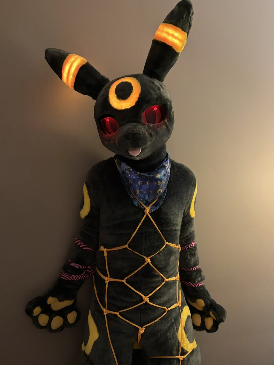 Lexy 🔜 Scotiacon 🔜 NFC tweet media