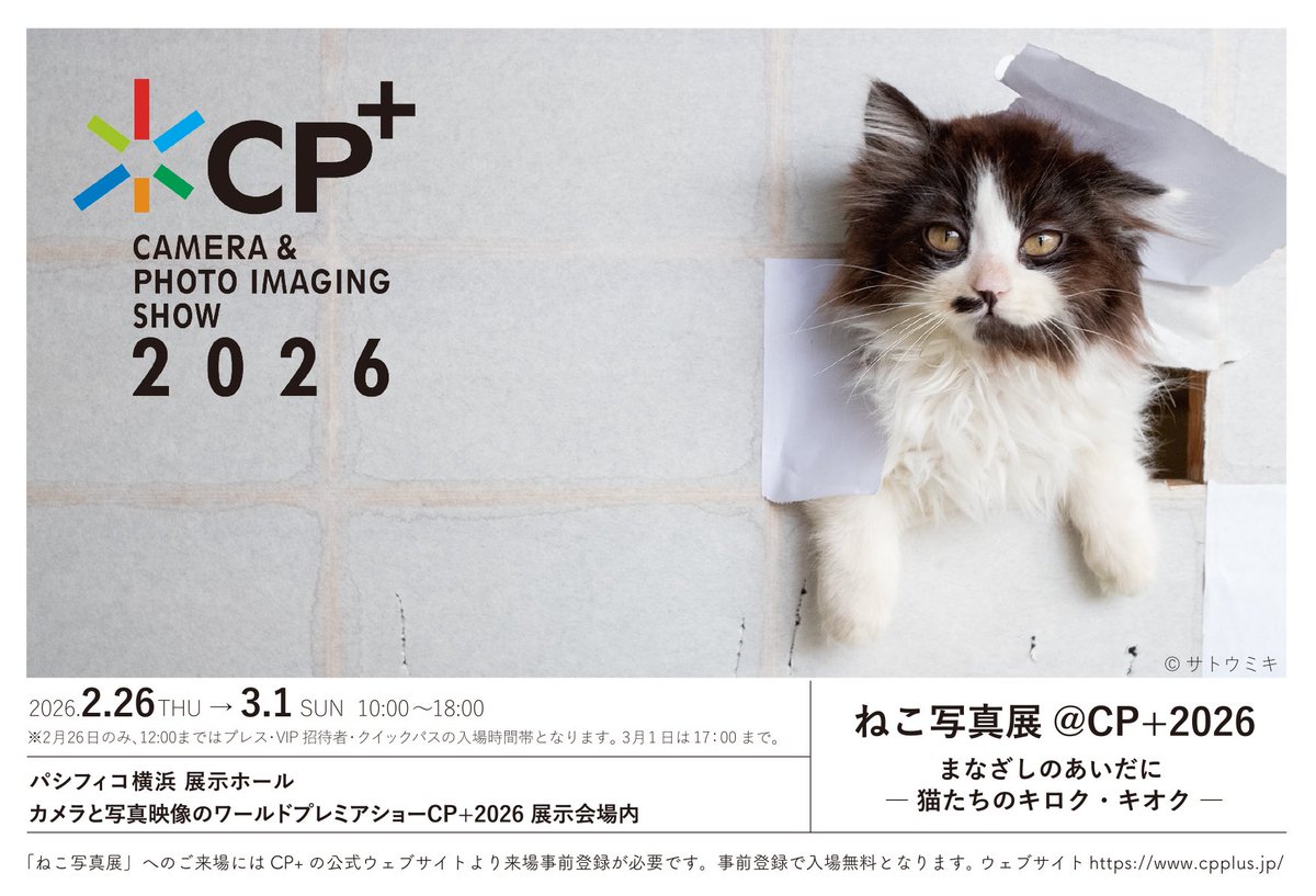 ︎山本 正義 (Masayoshi Yamamoto)立ち猫®︎ (@nekoiroiro) / Posts / X