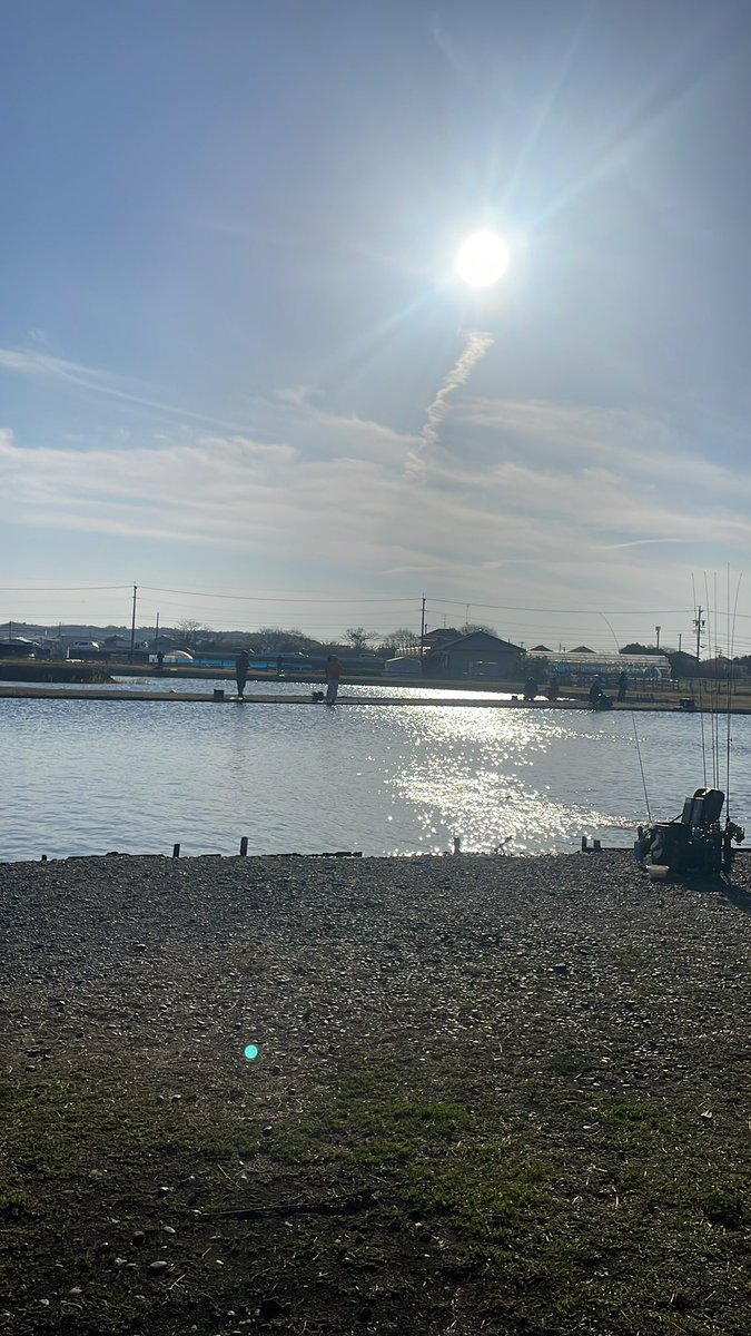 くまーる tweet media