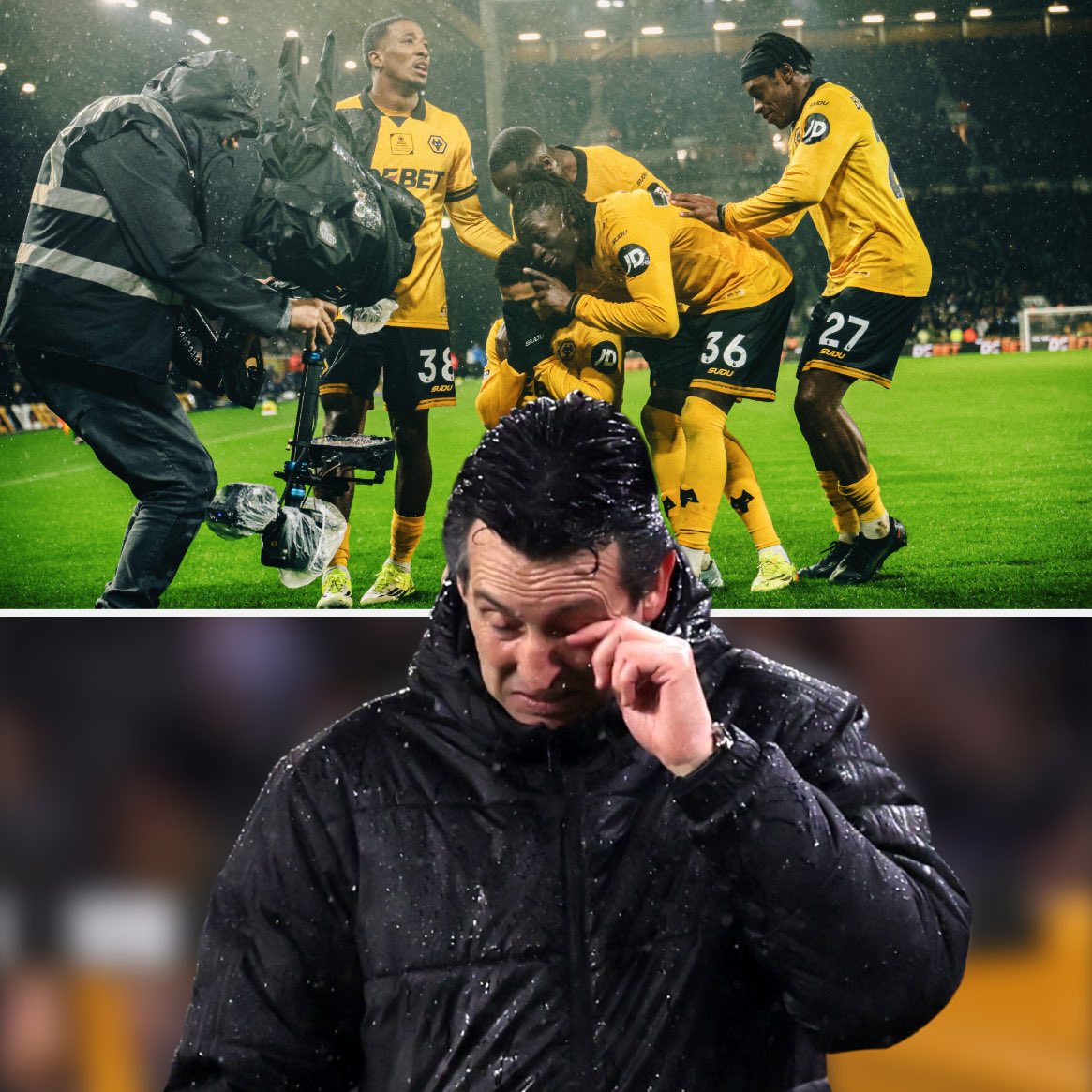 Talking Wolves tweet media