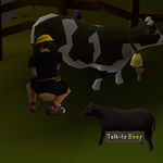 Photo by Crafter (@CrafterOSRS)
