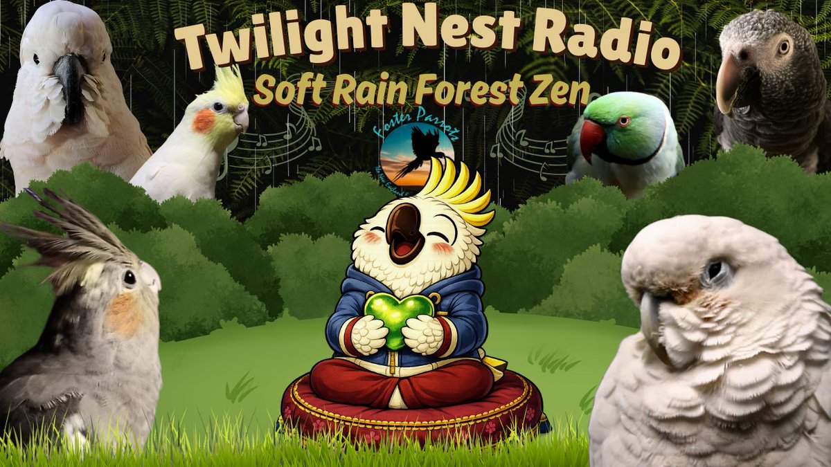 ParrotTown's tweet photo. ✨Now Streaming 24/7—> Twilight Nest Radio✨
Ultra-Calming Rainy Day Zen Forest Ambience for Anxious Birds🎶
👉 https://t.co/VwDQTz8nrb
This stream supports @FosterParrots 💕
*Note: I'll upload Zen Forest (which just ended today) as a video in the near future :) https://t.co/F3DGKOgfvu