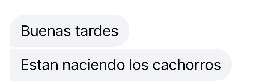 𝔼 tweet media