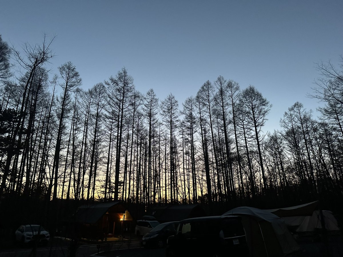 あやのこCAMP tweet media