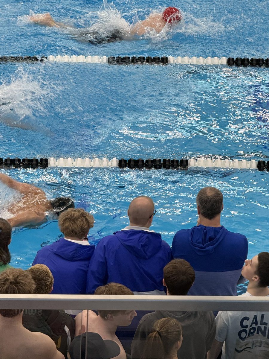 Wheeling Wildcats Athletics and Activities tweet media