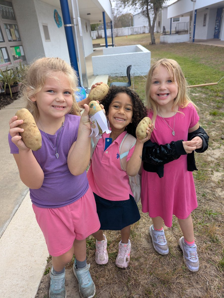 Allison Bender tweet media