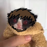 RAVENYER 🪸🪼【ChromaWish】 (@theravenyer) on Twitter photo 