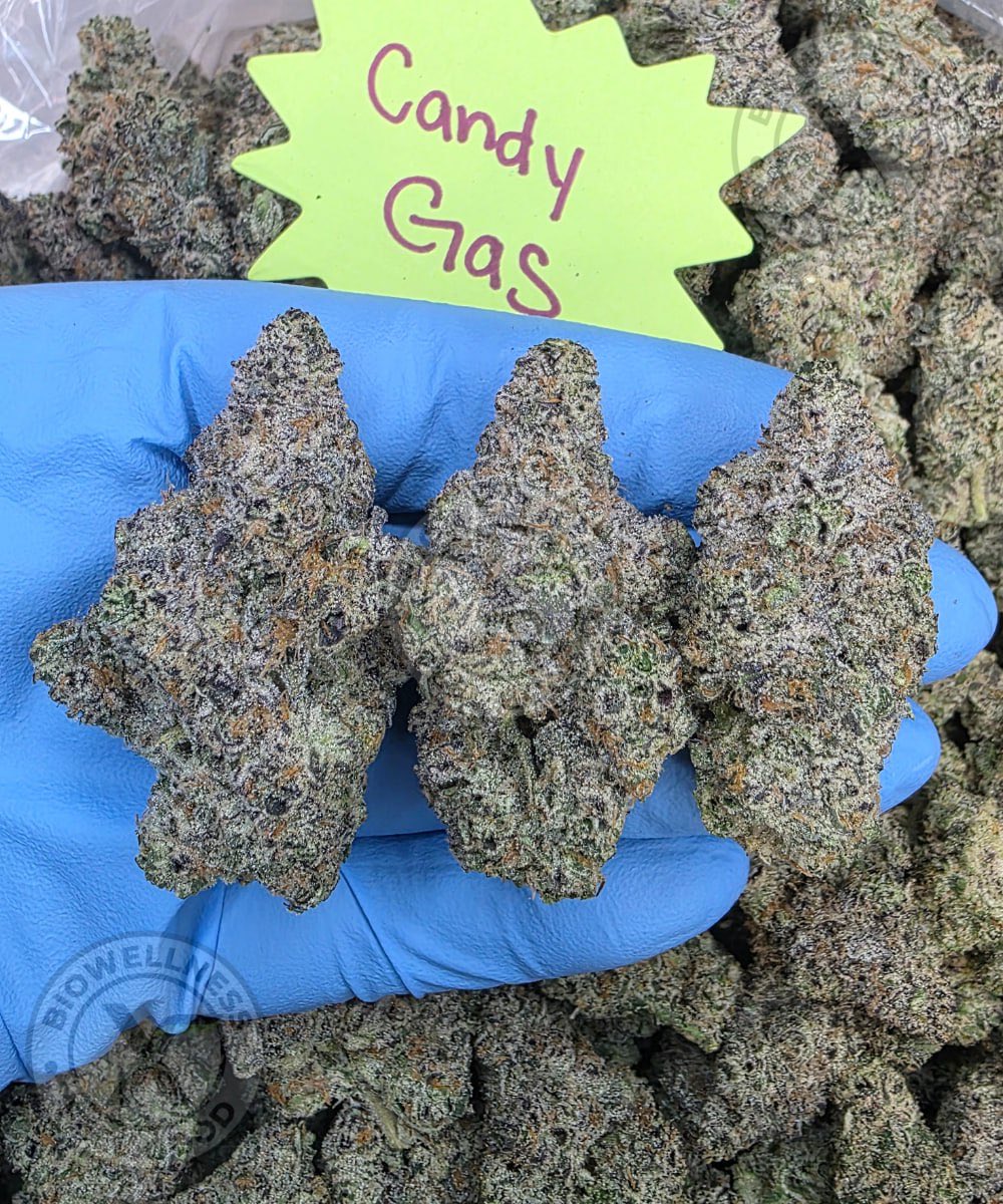 Elite flower sale ALL WEEKEND LONG 🏝️

Use code ELITES40 to get 40% off some of our most potent strains ever.

👉💨 biowellnessx.com/product-catego…