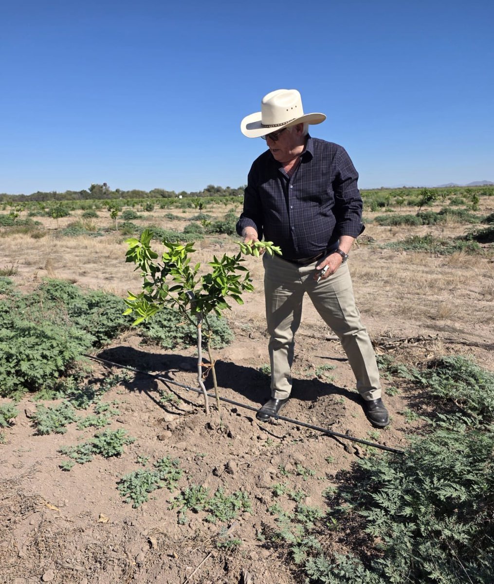 Víctor Villalobos Arámbula tweet media