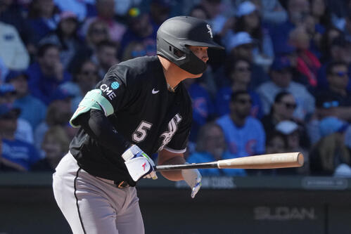 推しチーム(#中日ドラゴンズ) 以外の推し選手は長年 #ヤクルト