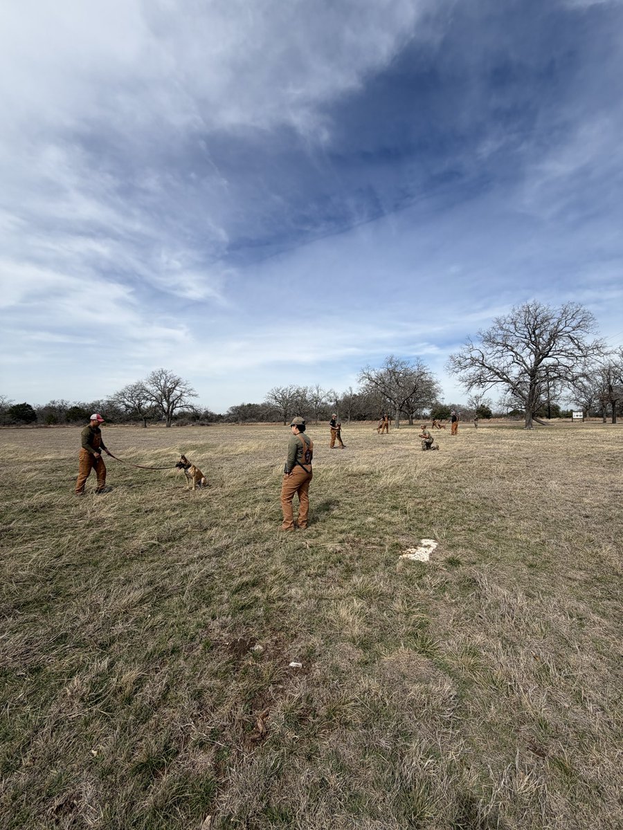 Texas DPS tweet media