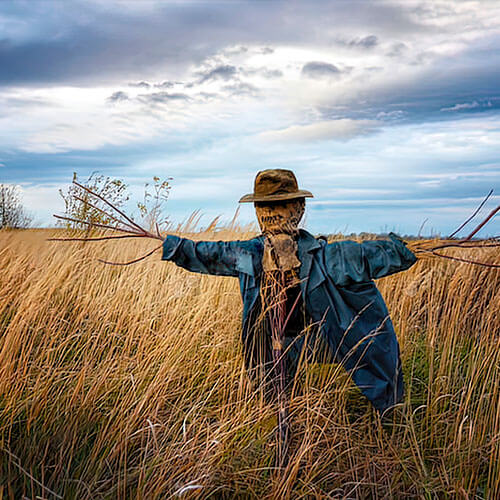 Mahsa 👑 tweet media