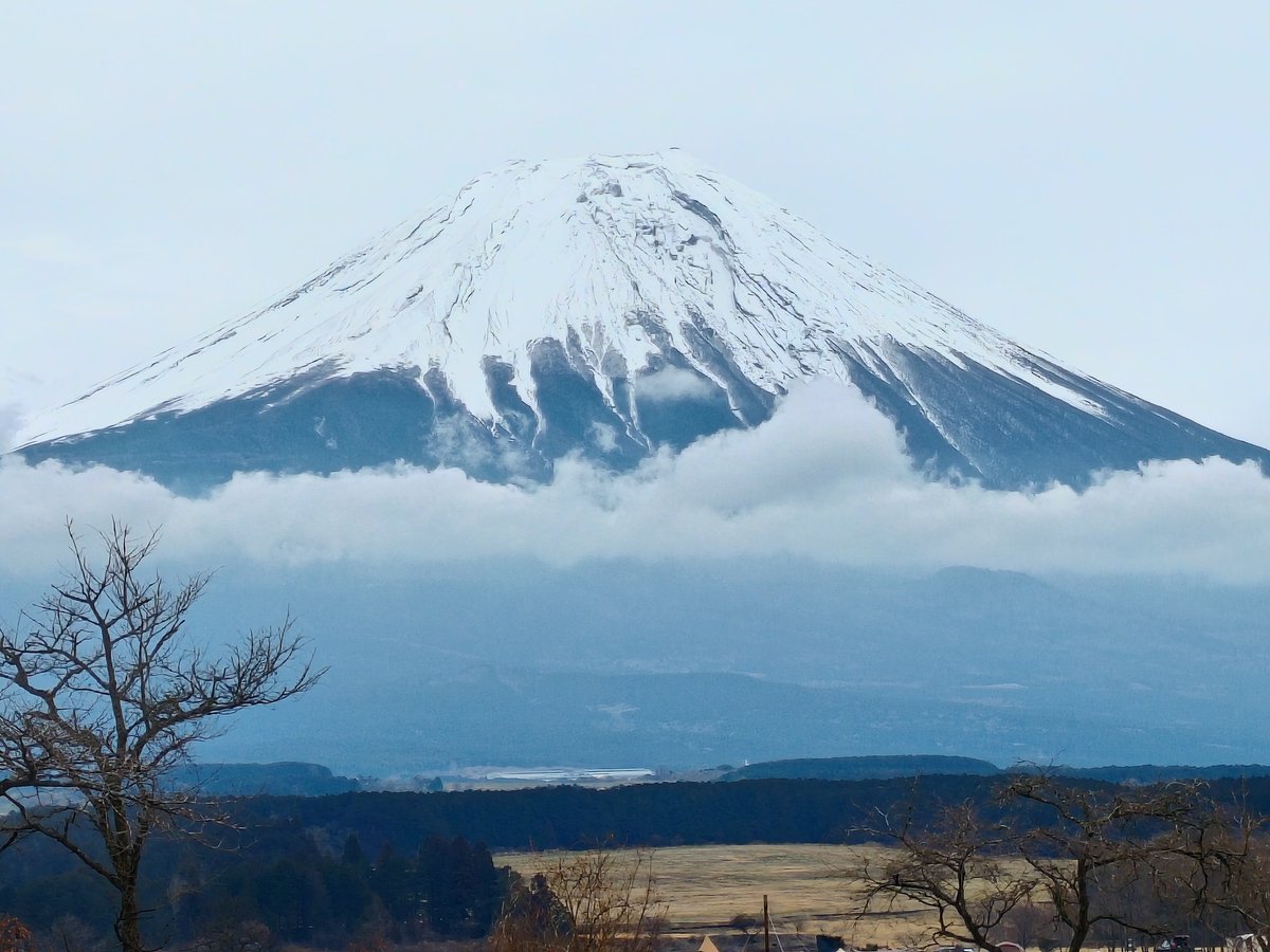 キャンプたのしぃいい