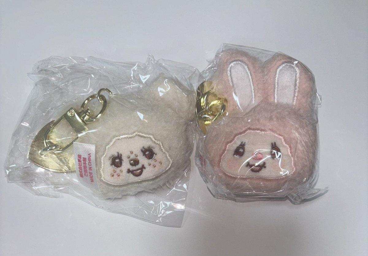 シーズー (@SHI___ZU___) / Posts / X