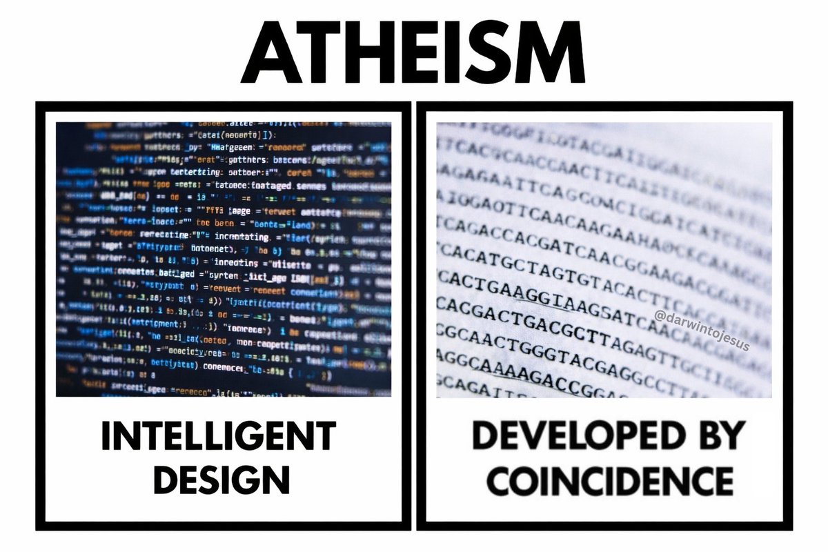 Darwin to Jesus tweet media