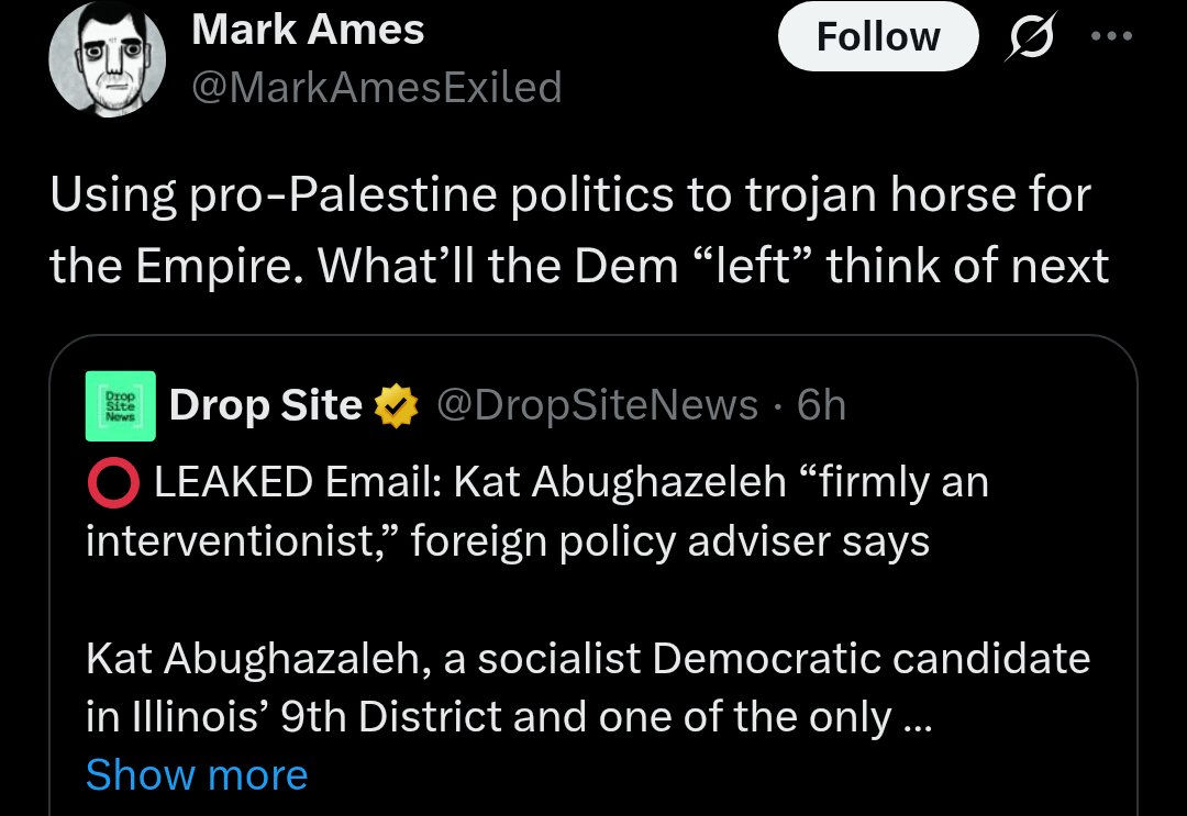 Post-Left Watch (postleftwatch.bsky.social) tweet media
