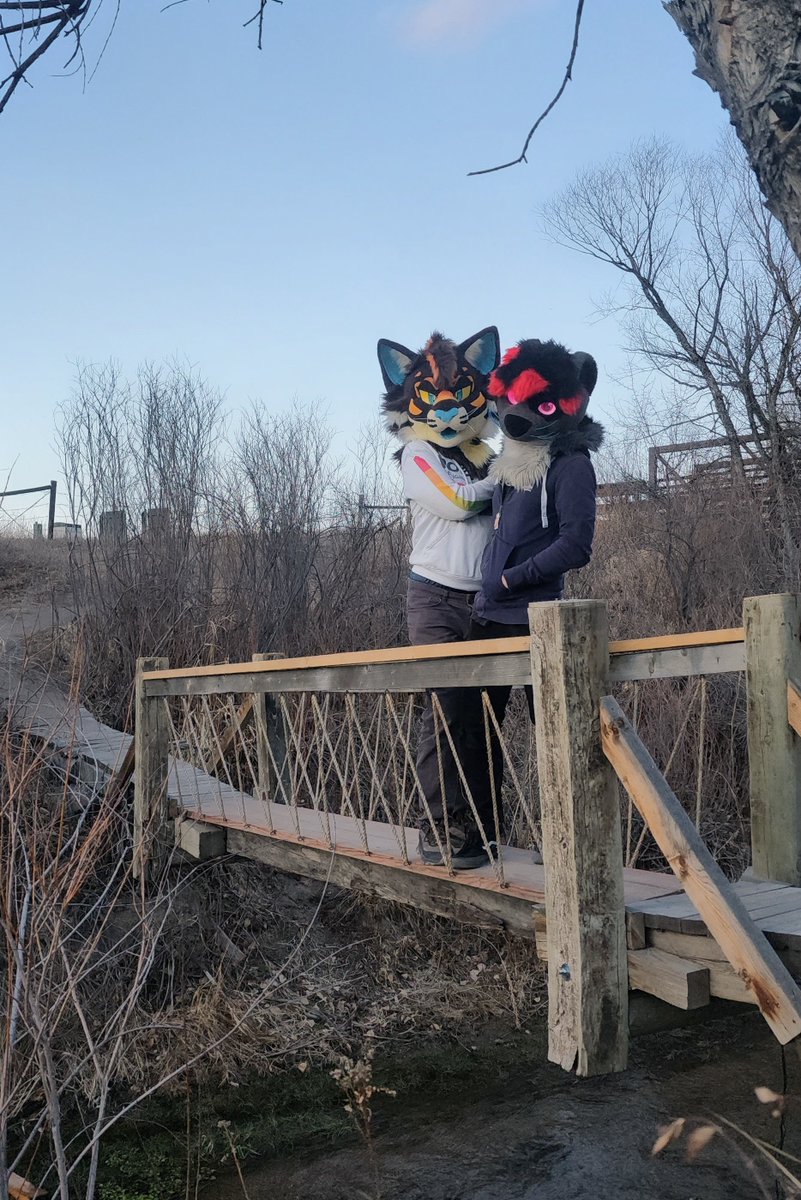 Wulf ʕ•ᴥ•ʔ 🔜 LVFC tweet media