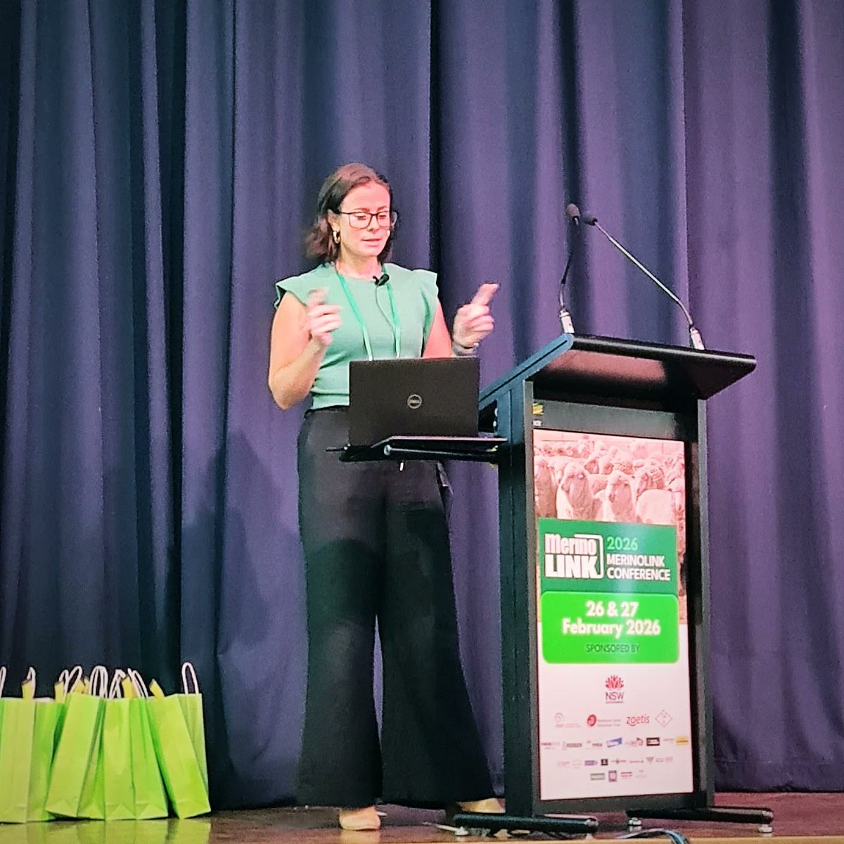 MerinoLink Limited tweet media