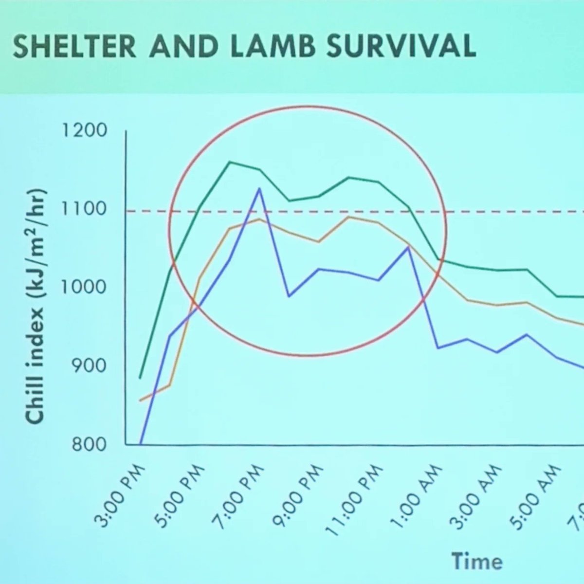 MerinoLink Limited tweet media