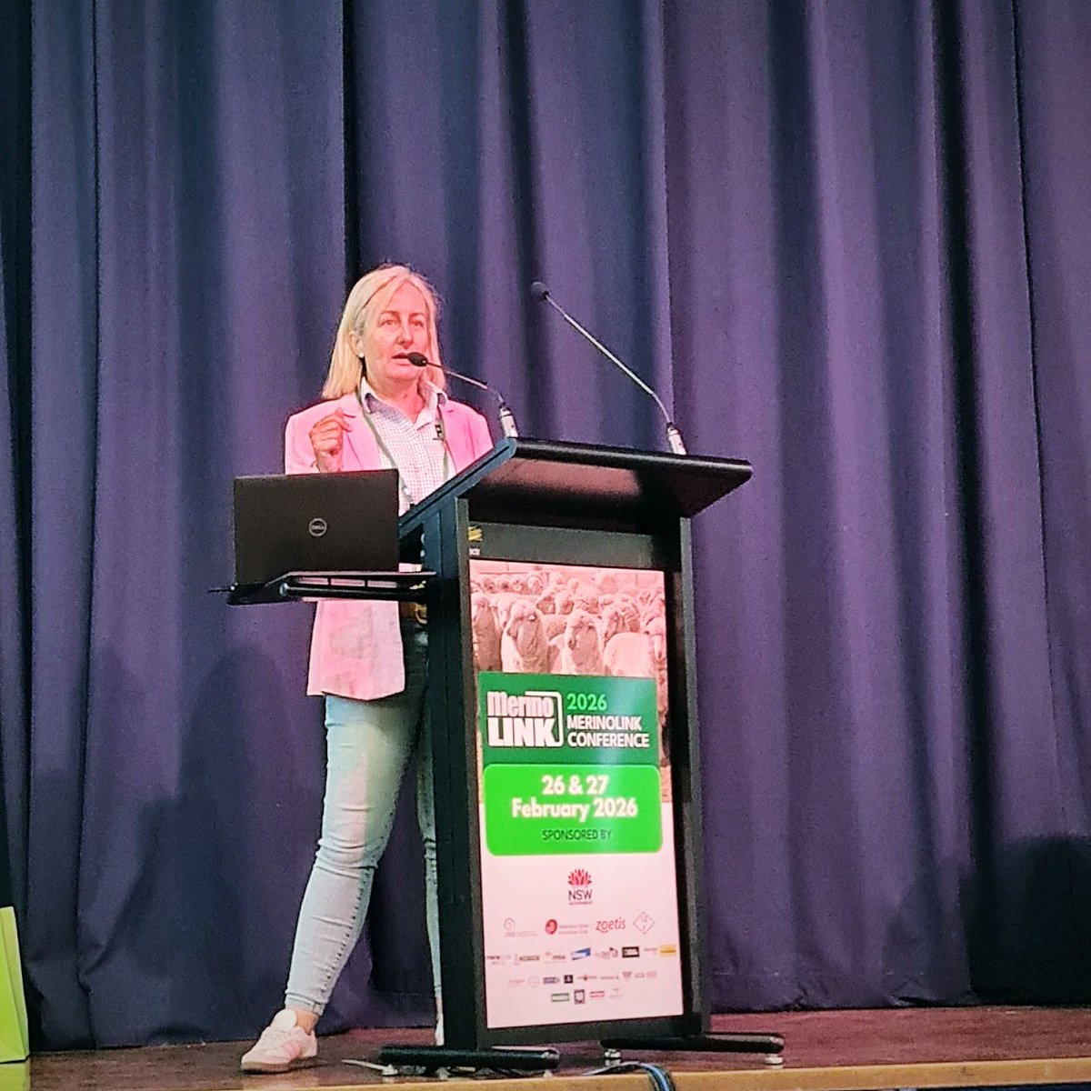 MerinoLink Limited tweet media