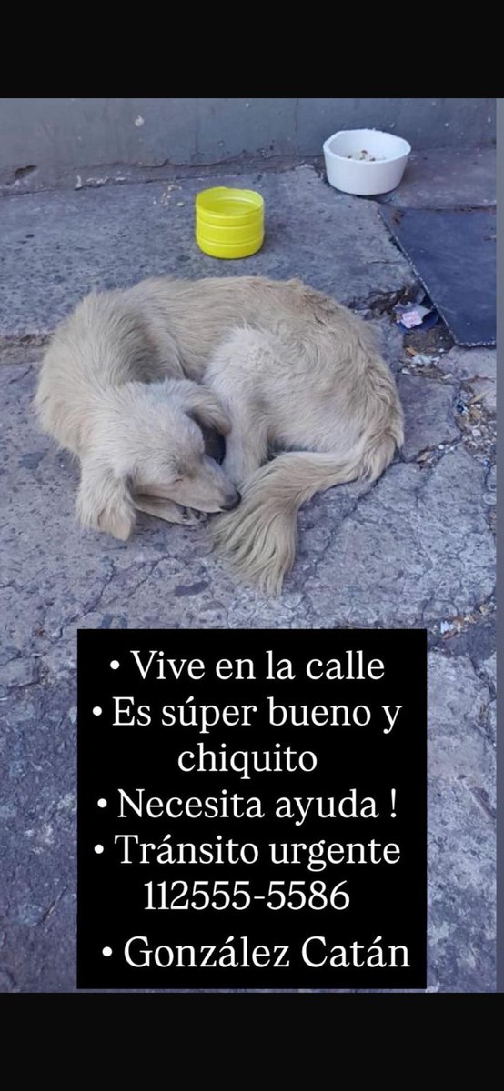 patripeyrou's tweet photo. Rt
Ayuda urgente https://t.co/qIfMQ2jHIJ